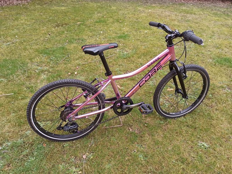 Dětské kolo Core Nipper 20 (7,28 kg)