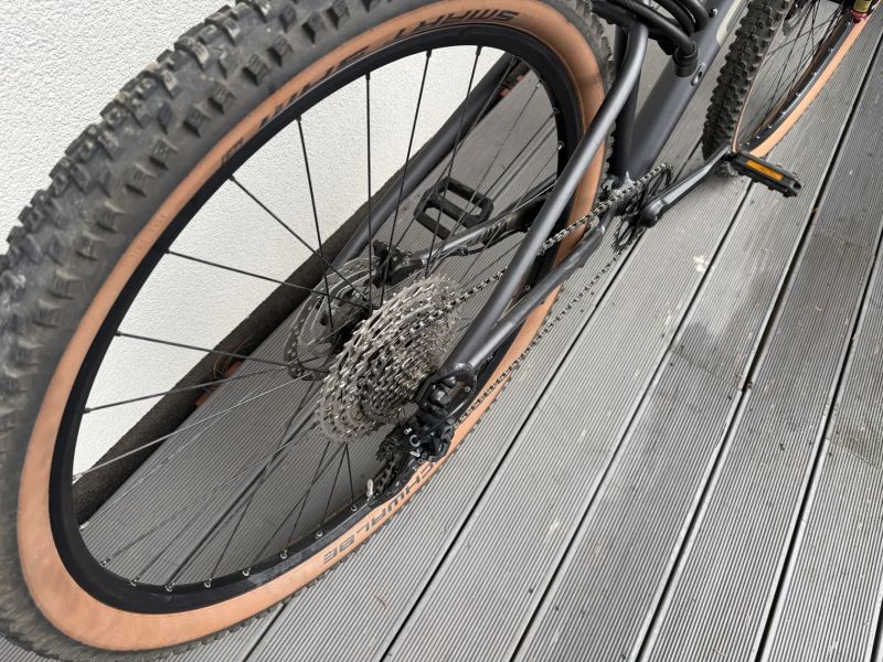 Focus WHISTLER 3.9 M