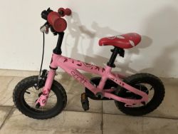 Scott Contessa JR 12