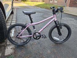 Rascal 16 - top stav