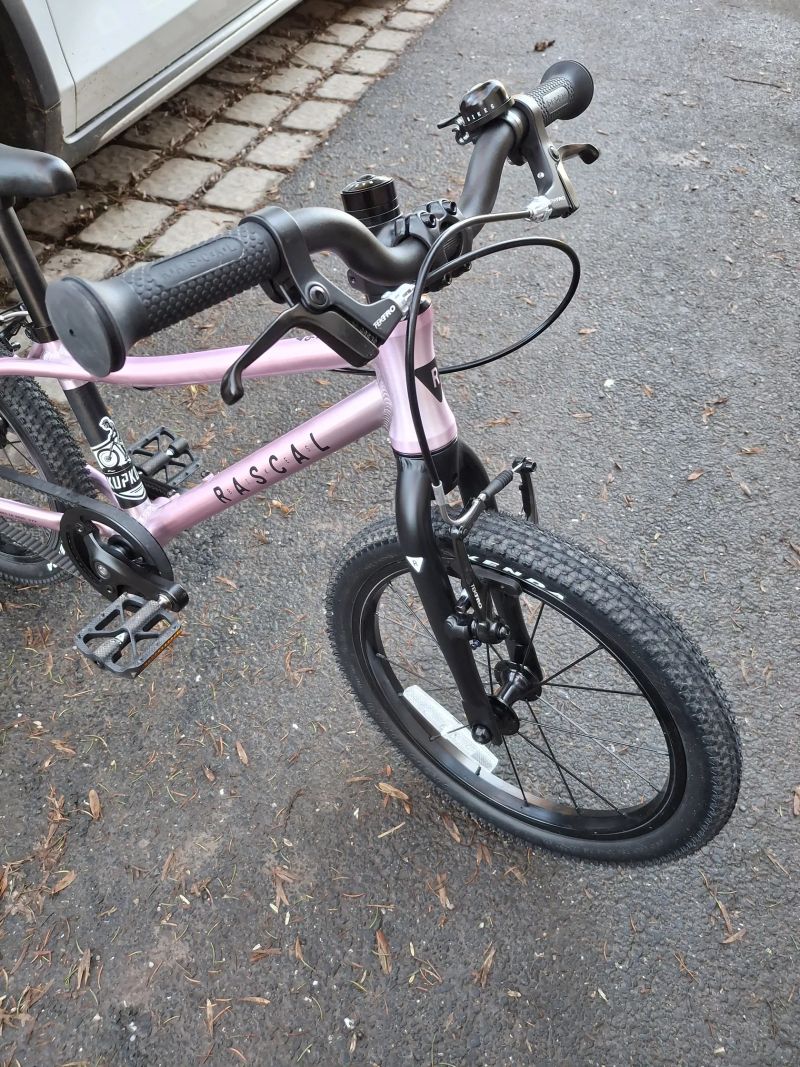 Rascal 16 - top stav