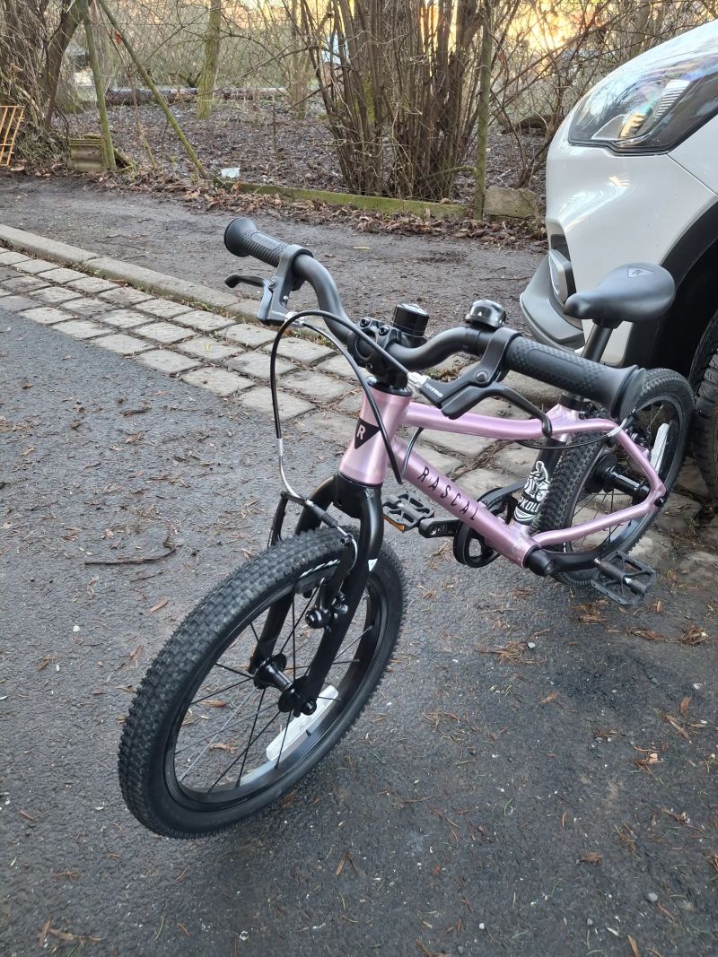 Rascal 16 - top stav