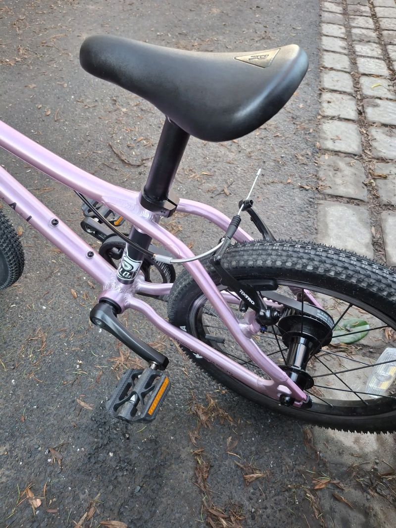 Rascal 16 - top stav