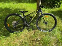 Amulet 29 Youngster 1.11 SH, dark green matt/green shiny