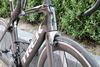 Trek Madone SL6
