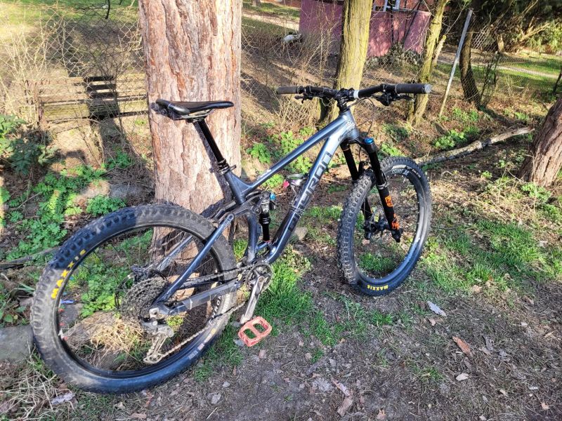 Qayron Carma MKII 27.5 L