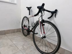 CUBE Peloton 53 (8,7 kg)