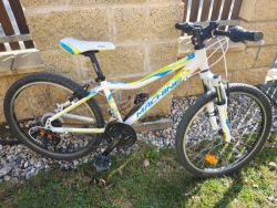 Dětské kolo Rock Machine