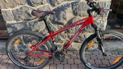 Specialized ROCKHOOPER