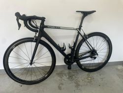 Canyon Ultimate CF SL F10