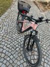 29" Cube Reaction Hybrid Pro 750 Allroad - velikost "L"