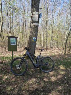 Cube Cube Stereo Hybrid 140 HPC Race 750 grey´n´chrome 2024