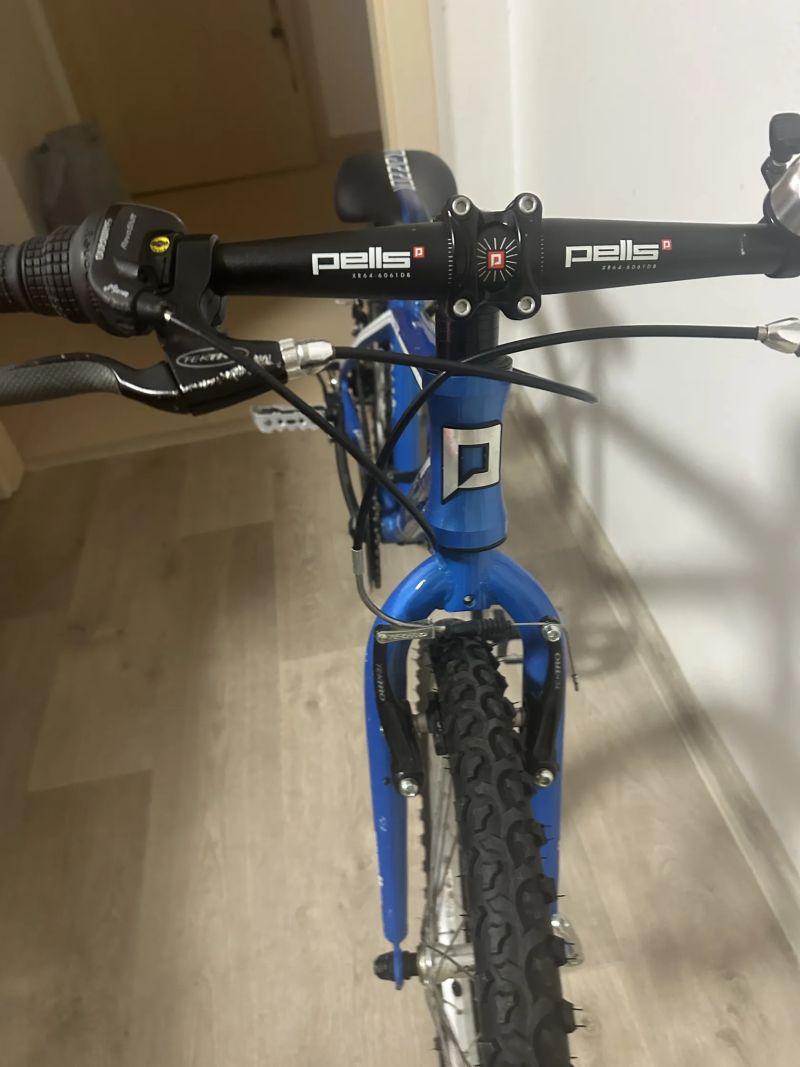 Dětské kolo PELLS Razzer 20"