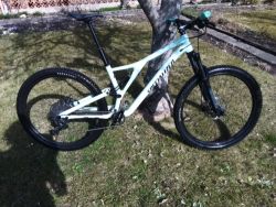 Specialized Stumpjumper