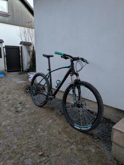 Leader Fox Arezzo roco