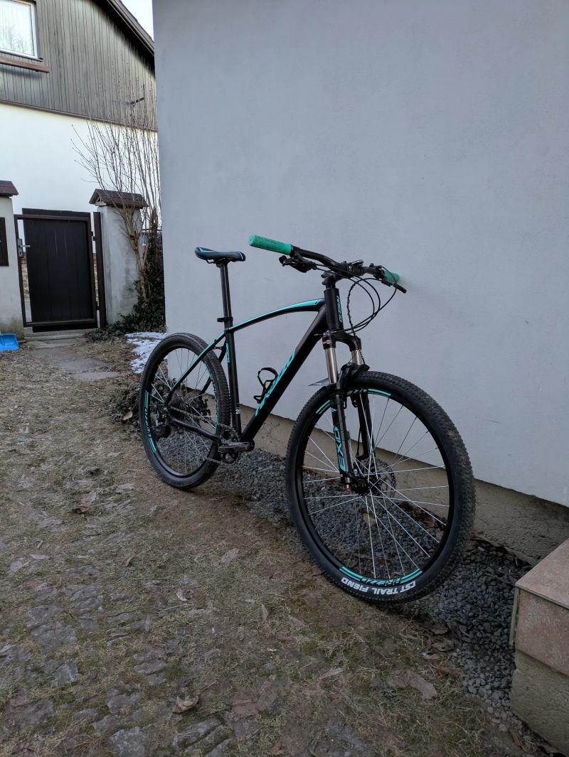 Leader Fox Arezzo roco