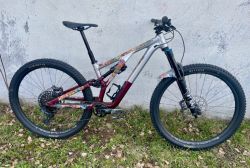 Specialized Stumpjumper Evo