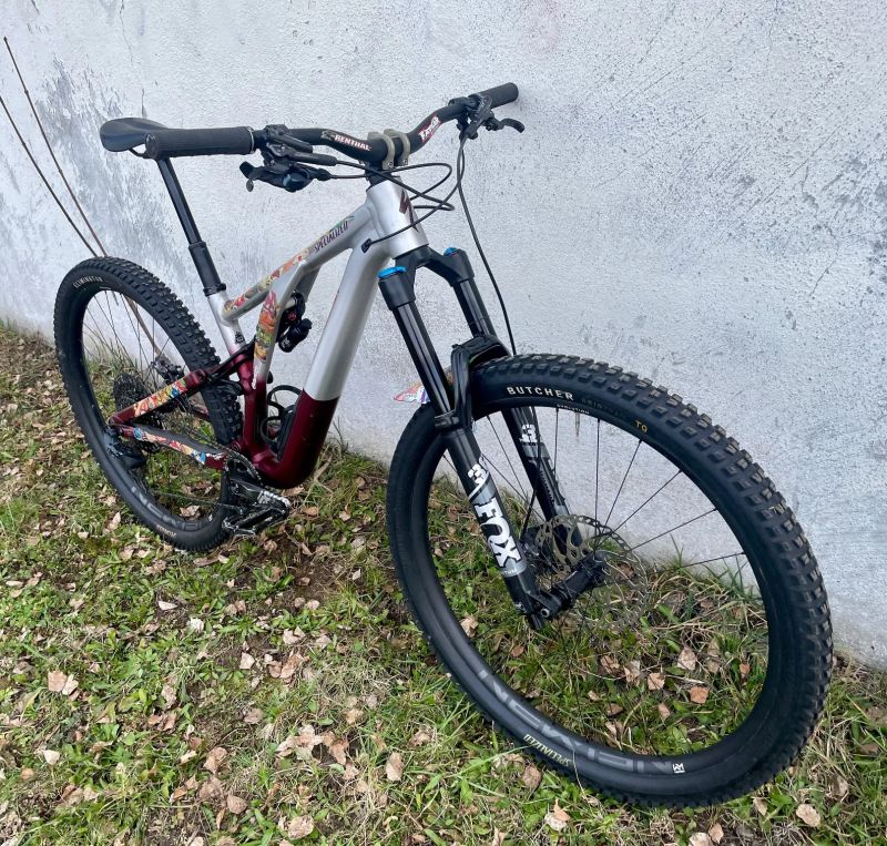 Specialized Stumpjumper Evo