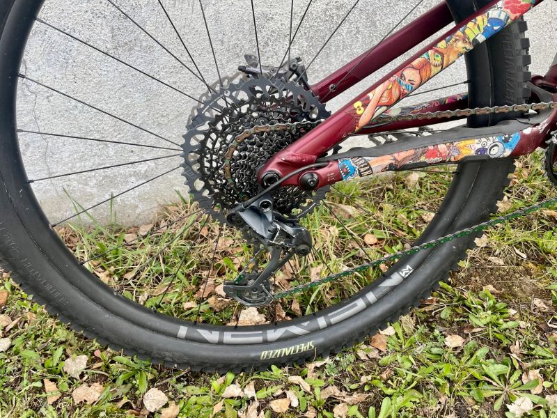 Specialized Stumpjumper Evo