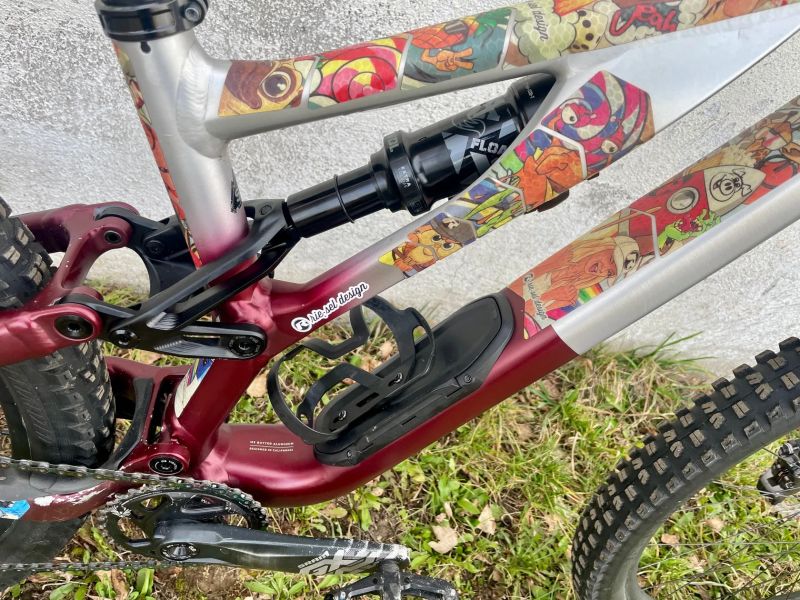 Specialized Stumpjumper Evo