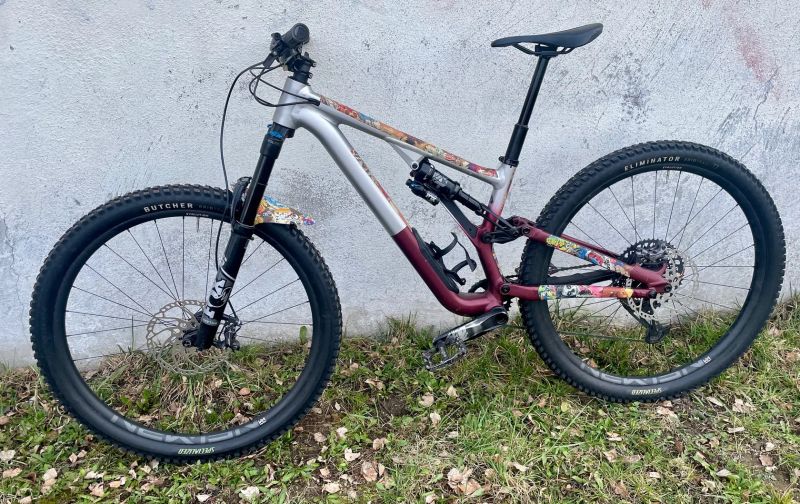 Specialized Stumpjumper Evo