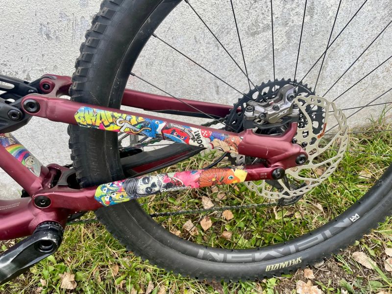 Specialized Stumpjumper Evo