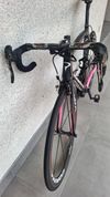 Pinarello Dogma 65.1 Think 2 Giro Italia Limited Edition