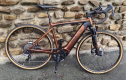 Bulls Grinder Evo CX