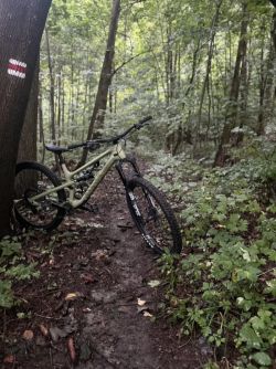 Canyon Spectral 125 CF8