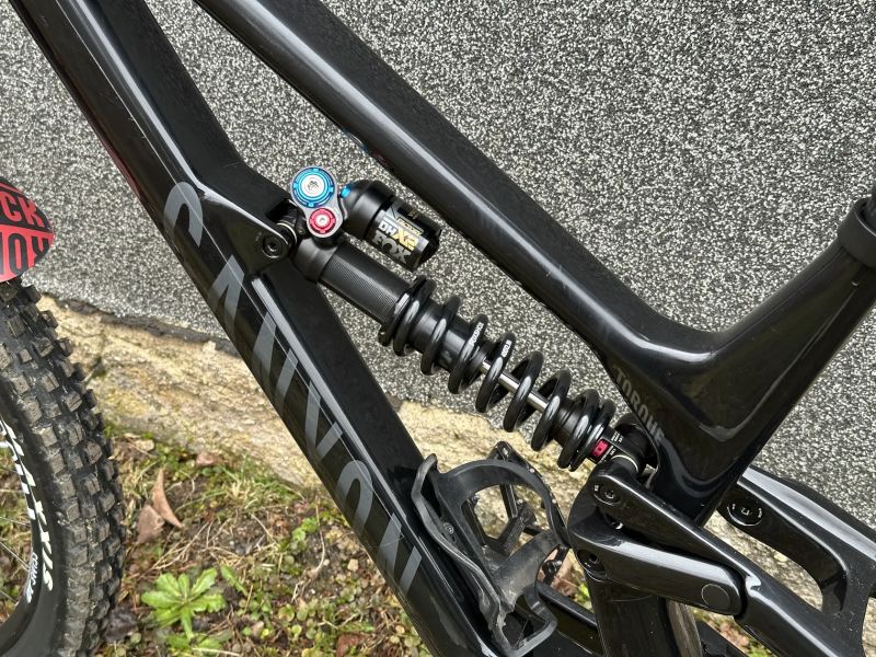 Canyon Torque CF8 Mullet 