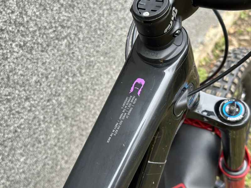 Canyon Torque CF8 Mullet 