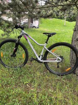 Specialized Jetta Comp