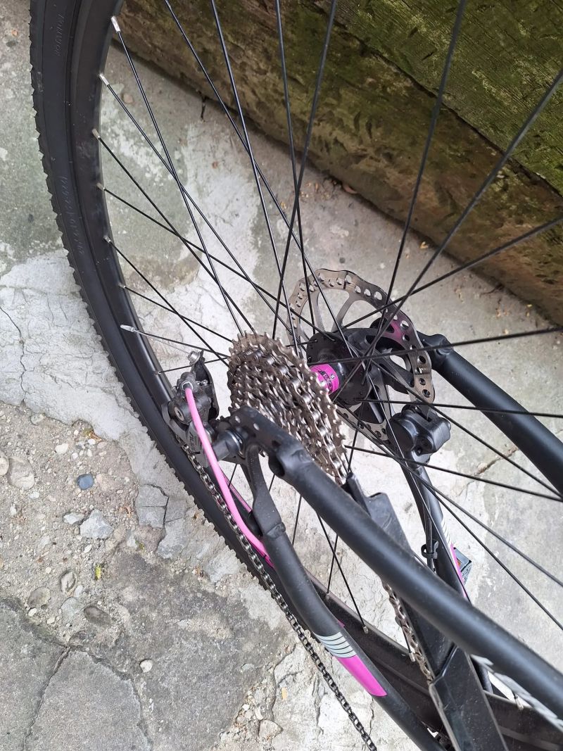 Leader Fox Bend - dámské elektrokolo