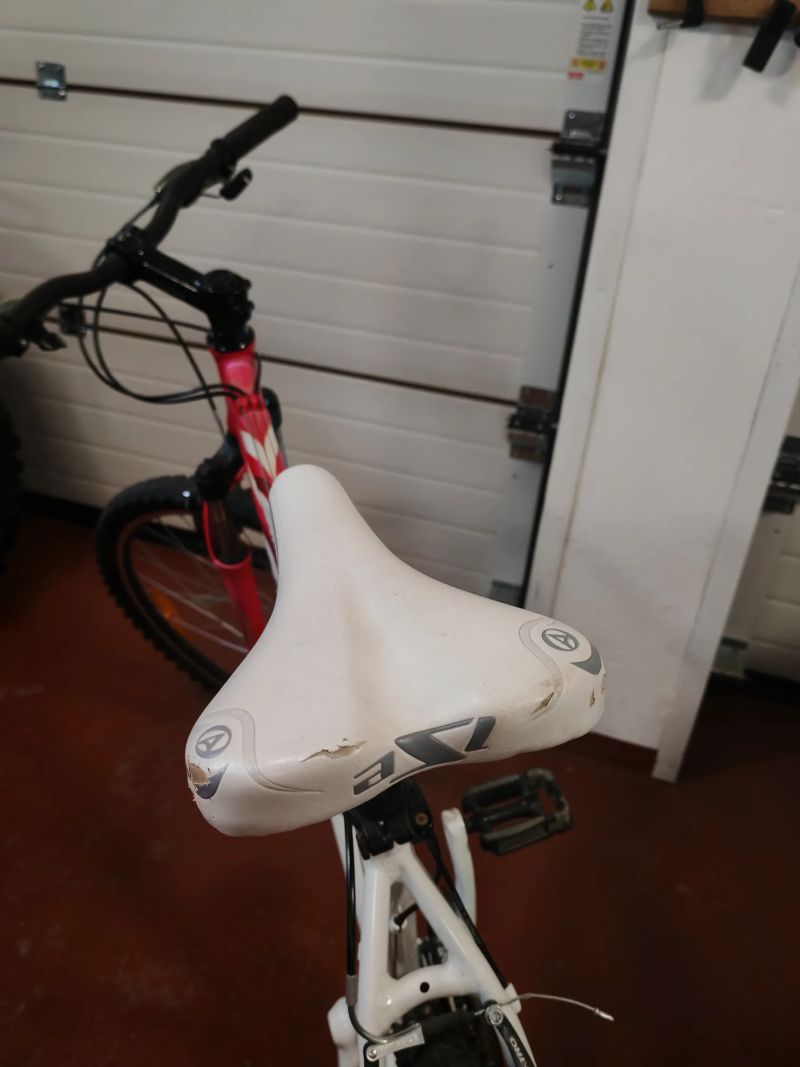 Author Solution ASL 18