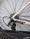 Giant Defy