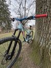 Trek Remedy 7