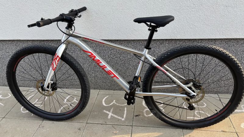 Amulet Youngster 1.10 2024