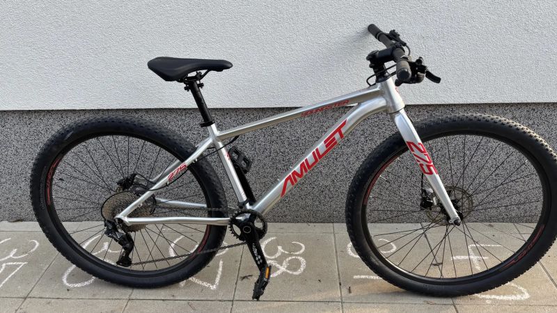 Amulet Youngster 1.10 2024