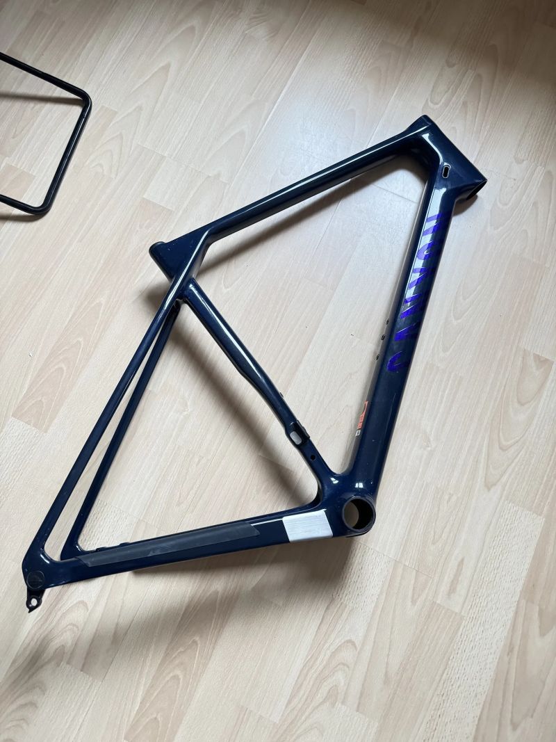 Canyon Canyon Endurance CF