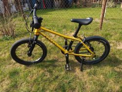 Rascal 16 gold zlatá 