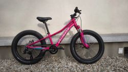 Specialized Riprock 20