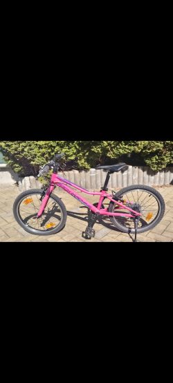 Rock Machine Catherine