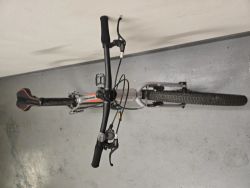 Author Ultrasonic 24"