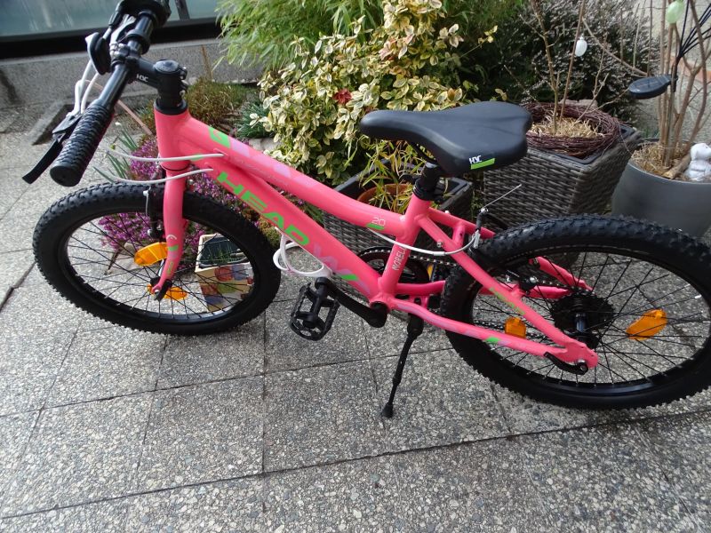 Head Morelia nevyužité velmi dobrý stav