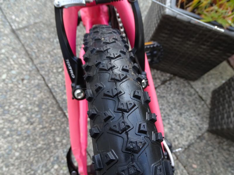 Head Morelia nevyužité velmi dobrý stav