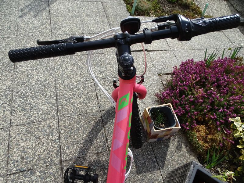 Head Morelia nevyužité velmi dobrý stav