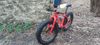 Specialized Fatboy Comp Carbon