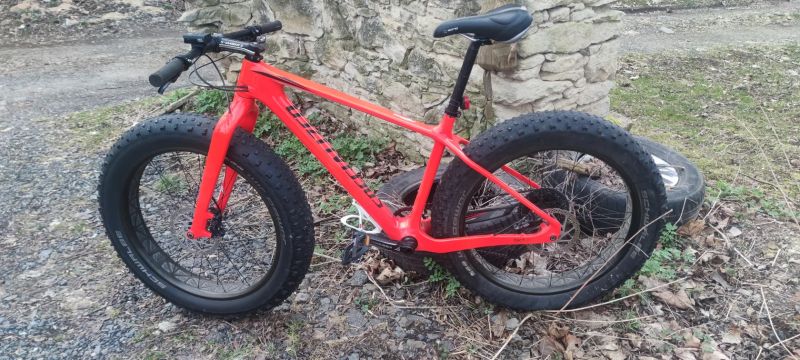 Specialized Fatboy Comp Carbon