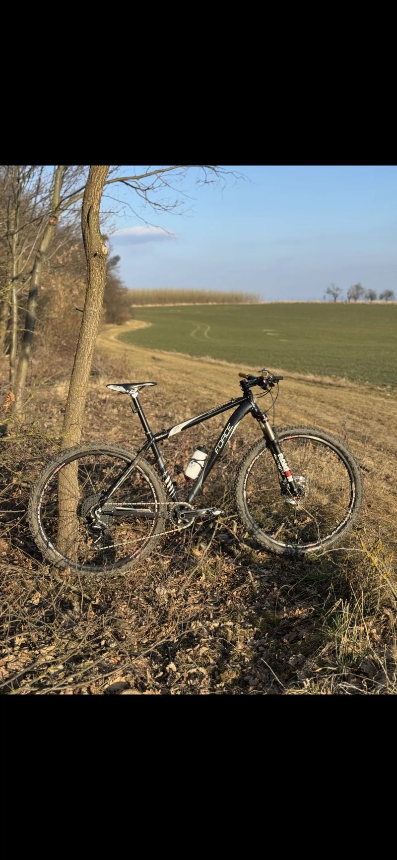 Force 29er