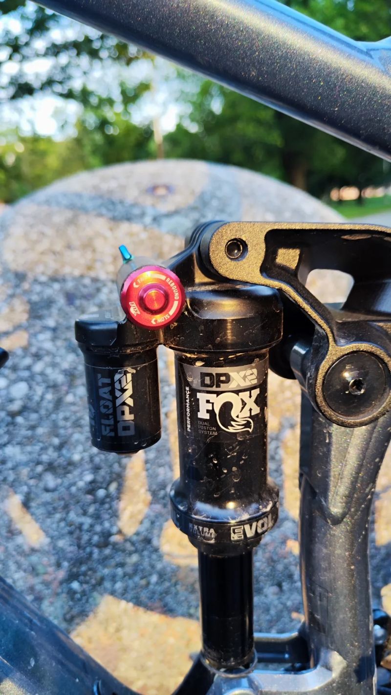 Qayron Carma MK2 29" L